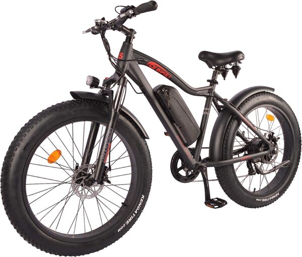 DJ Fat Bike 750W 48V 13Ah Power Electric Bicycle