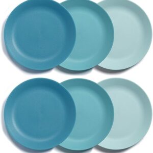 US Acrylic Everest Ultra-Durable Plastic 10 inch Dinner Plates