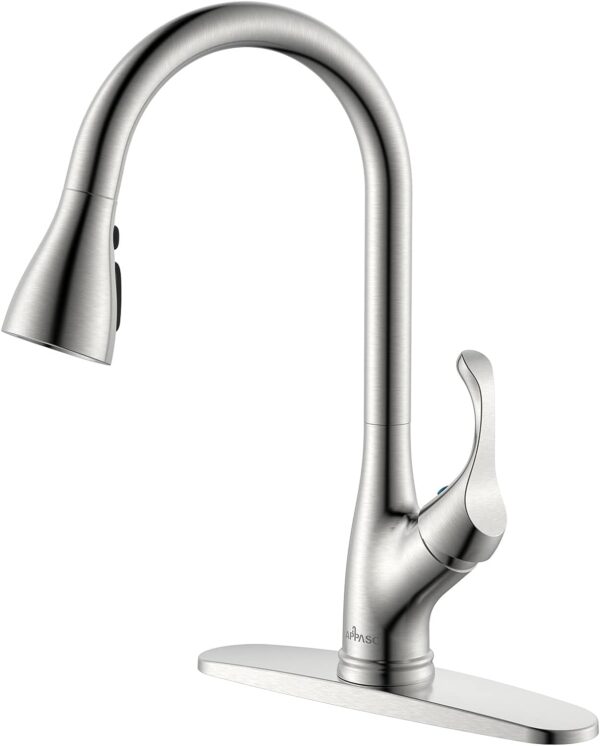 APPASO Kitchen Faucet