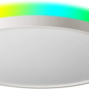 Taloya Smart Ceiling Light Flush Mount LED