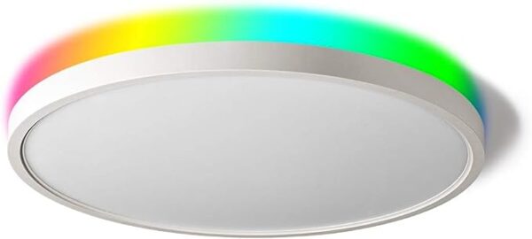 Taloya Smart Ceiling Light Flush Mount LED